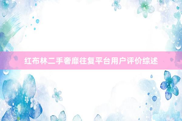 红布林二手奢靡往复平台用户评价综述